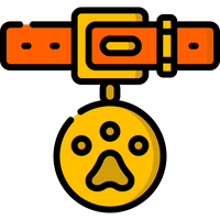 Pet Collar & Harness